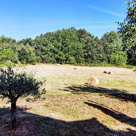 Charmante Maison Perigourdine Renovee Holiday home